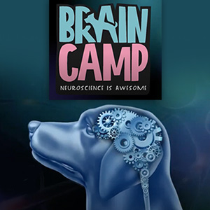 Brain Camp